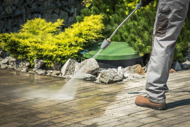 Best Solar Panel Cleaning  in Blanchester, OH